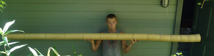 Joe Delaney Bamboo Pole